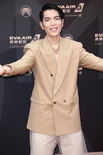 萧敬腾红毯爆料视频播放,揭秘明星幕后趣事  第2张