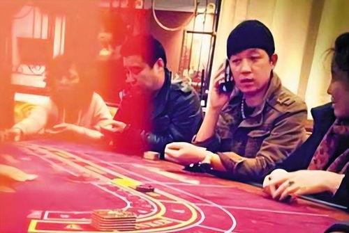 娱乐圈乱象爆料,真相与反思  第3张