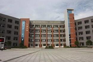 广西师范大学网红吃瓜,校园风云背后的美食故事